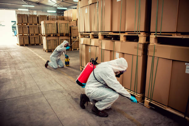 Best Best Pest Control Companies  in North Fork, AZ