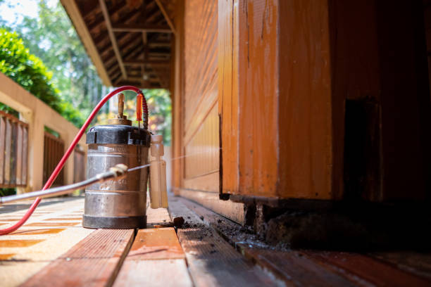 Reliable North Fork, AZ Pest Control Solutions