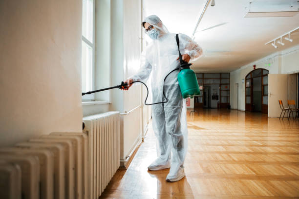 Best Flea Control Services  in North Fork, AZ